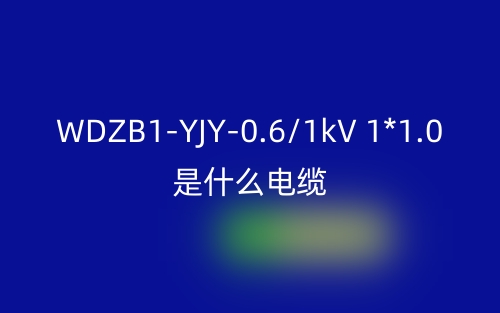 WDZB1-YJY-0.6/1kV 1*1.0是什么電纜？(圖1)