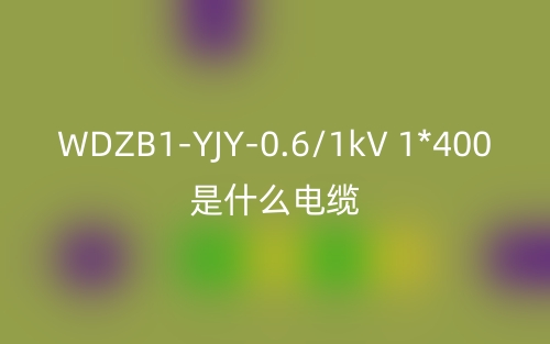 WDZB1-YJY-0.6/1kV 1*400是什么電纜？(圖1)