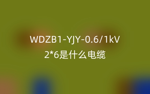 WDZB1-YJY-0.6/1kV 2*6是什么電纜？(圖1)