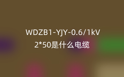 WDZB1-YJY-0.6/1kV 2*50(圖1)