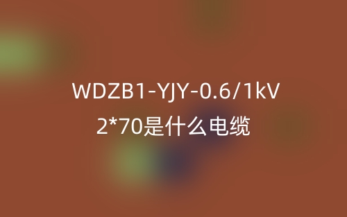 WDZB1-YJY-0.6/1kV 2*70是什么電纜？(圖1)