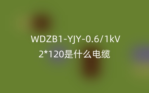 WDZB1-YJY-0.6/1kV 2*120是什么電纜？(圖1)