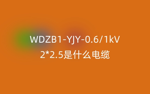 WDZB1-YJY-0.6/1kV 2*2.5是什么電纜？(圖1)