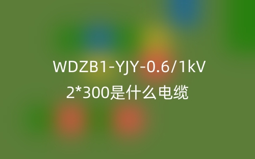 WDZB1-YJY-0.6/1kV 2*300是什么電纜？(圖1)