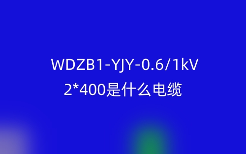 WDZB1-YJY-0.6/1kV 2*400是什么電纜？(圖1)