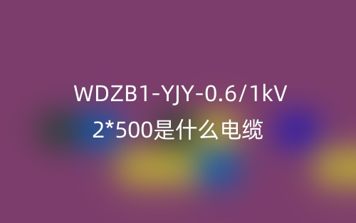 WDZB1-YJY-0.6/1kV 2*500是什么電纜？(圖1)