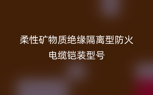 柔性礦物質(zhì)絕緣隔離型防火電纜鎧裝型號(圖1)