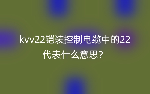 kvv22鎧裝控制電纜中的22代表什么意思？(圖1)